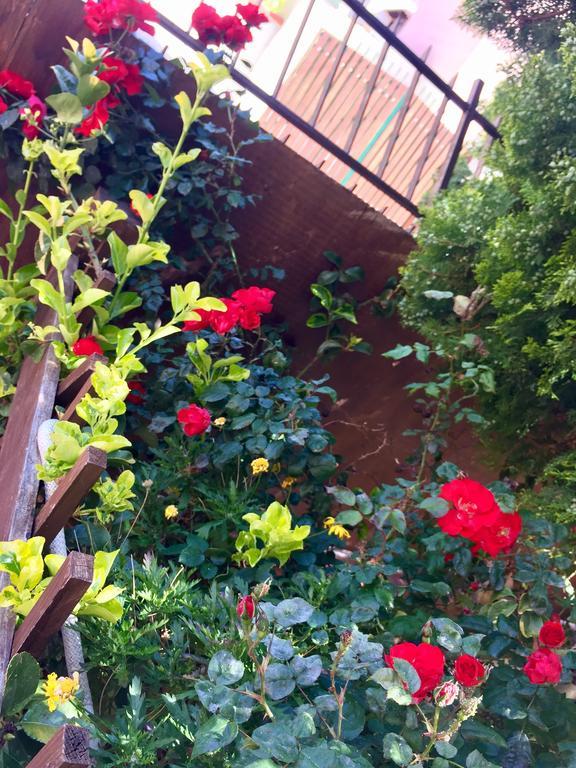 سان ليون B&B Limone المظهر الخارجي الصورة